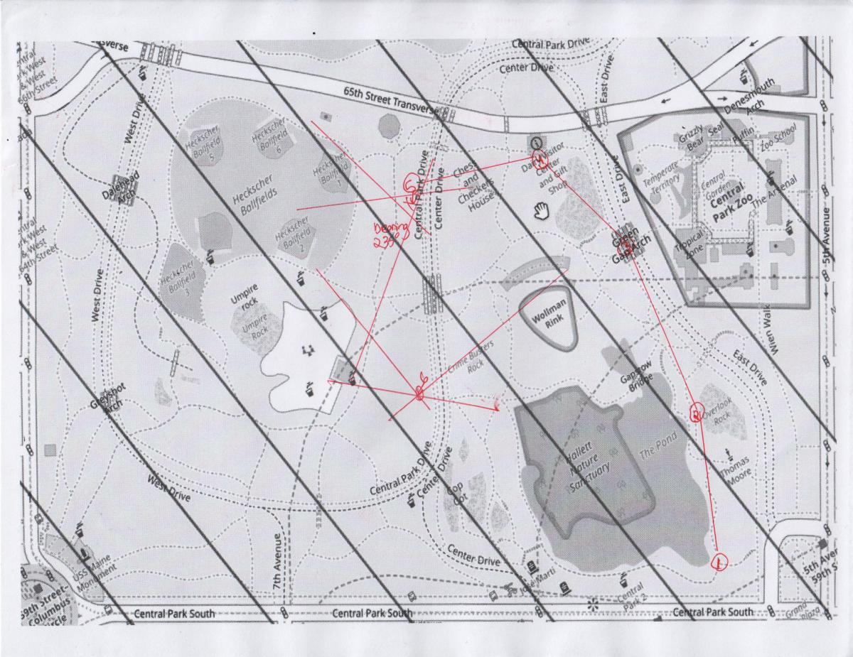 map of just the southern section of central park with parallel lines going to the upper left, indicating the direction of magnetic north. there are pen marks on the map showing the path I navigated through the park.